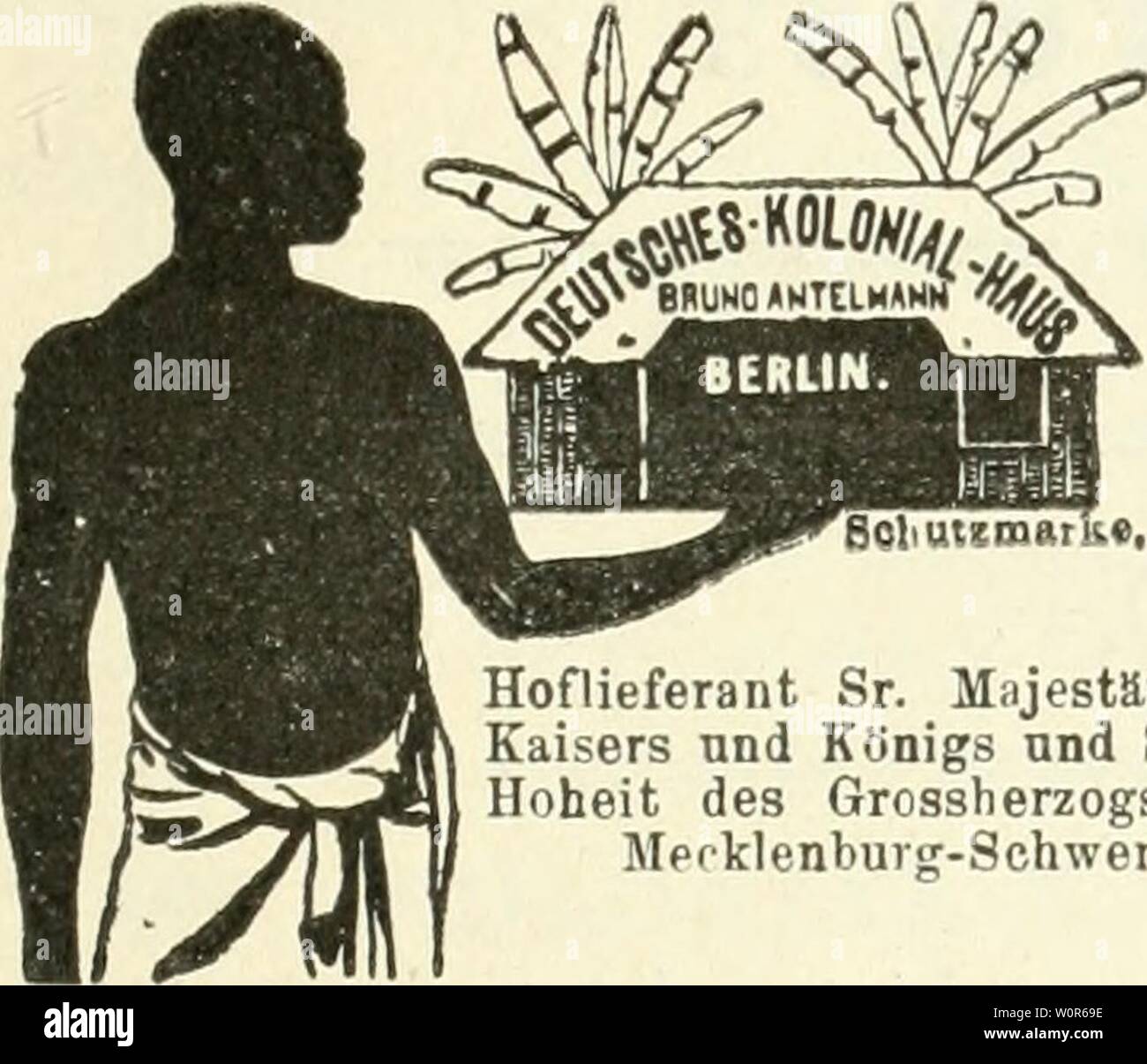 Image d'archive à partir de la page 270 de Der Tropenpflanzer ; zeitschrift fr l Banque D'Images