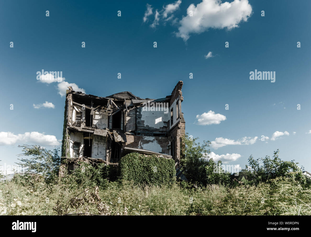 Ruines d'une ancienne maison d'habitation à envahies par les mauvaises herbes et les arbres dans la ville de Detroit (Michigan) Banque D'Images
