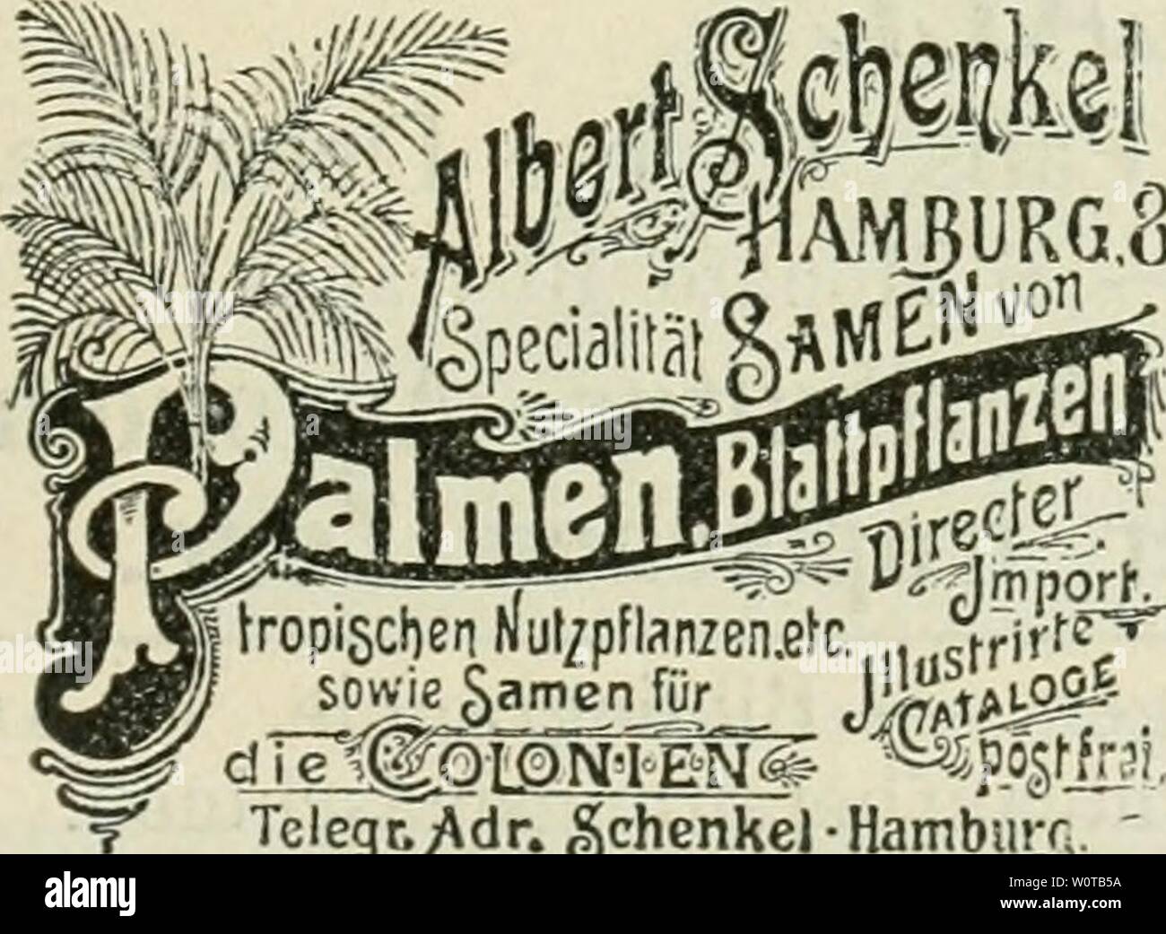 Image d'archive à partir de la page 642 d'Tropenpflanzer ; Zeitschrift der fr l Banque D'Images