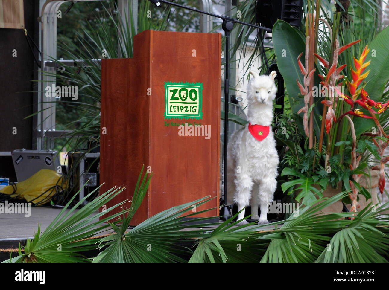 Mit einem Festakt im Rahmen seines 140-jährigen Jubiläums hat der Zoo Leipzig am 17.Mai 2018 die Erlebniswelt activités : importateurs - stockistes Südamerika. Le professeur Zoodirektor Junhold, Olivier Pagan, Präsident des Verbandes der Zoologischen Gärten und die Leipziger Kulturbürgermeisterin Aufsichtsratsvorsitzende Jennicke und Dr. Skadi dans Vertretung von Oberbürgermeister Burkhard Jung vollzogen die Eröffnung. Die Erlebniswelt Südamerika umfasst eine Fläche von 15,800 Quadratmetern und gliedert sich in die Landschaften südamerikanischen Pampa, Pantanal und patagonien. Große Maras, Pekaris Weißrüsselnasenbären Guanakos,,, Banque D'Images