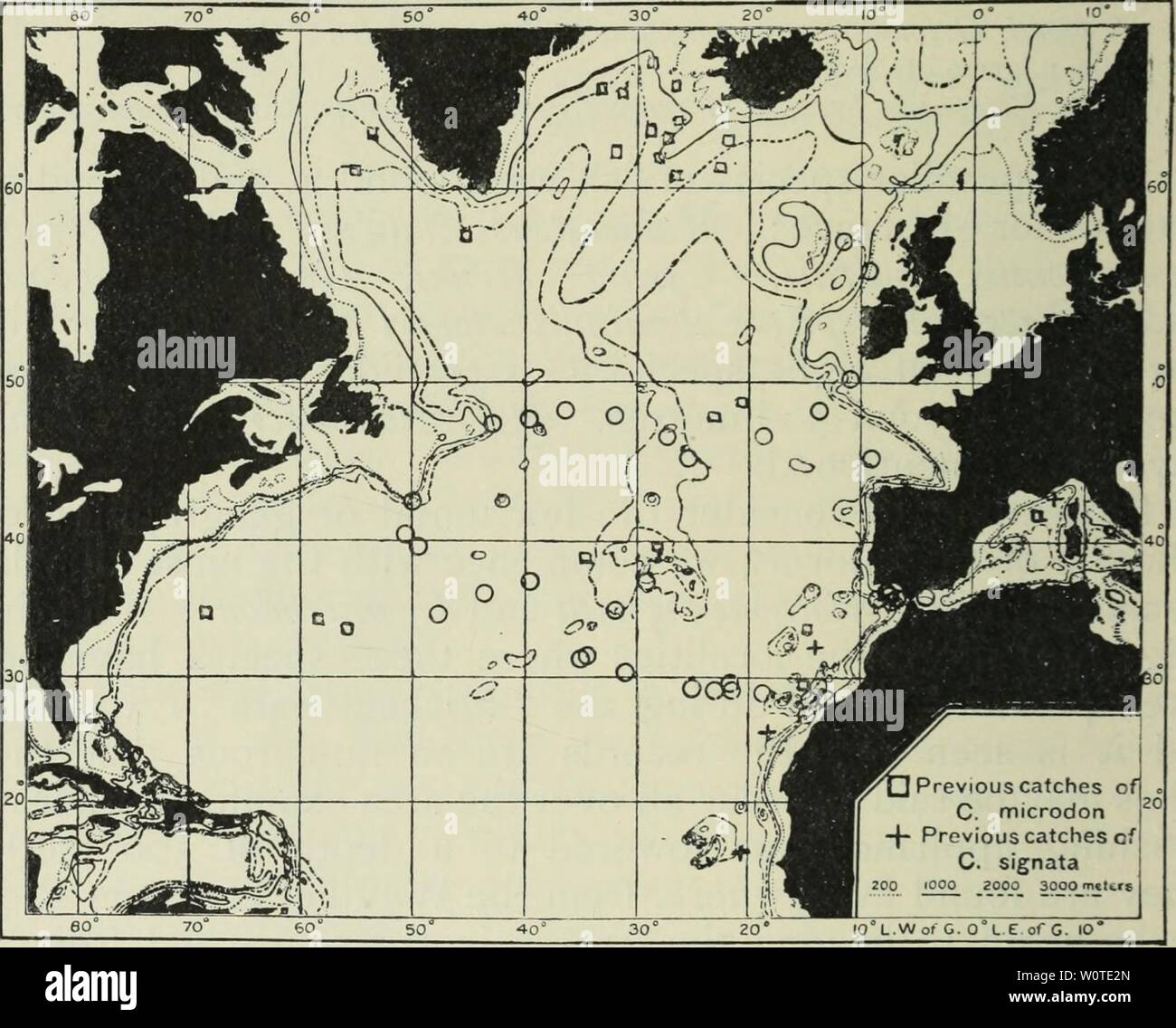 Image d'archive à partir de la page 663 de la profondeurs de l'océan ;. Les profondeurs de l'océan ; un compte rendu général de la science moderne de l'océanographie fondée en grande partie sur la recherche scientifique de la vapeur norvégien Michael Sars dans l'Atlantique Nord depthsofoceange00murr Année : 1912 626 profondeurs de l'océan formulaires en question semble s'expliquer par rapport à la distribution de la température. Au chapitre VII, nous avons remarqué que la température le long de l'océan-de-chaussée est très uniforme, et par conséquent le fond abyssal-poisson, comme Macrurus armatus et M. filicauda, ont une très large distribution. Tout au long de l'un Banque D'Images