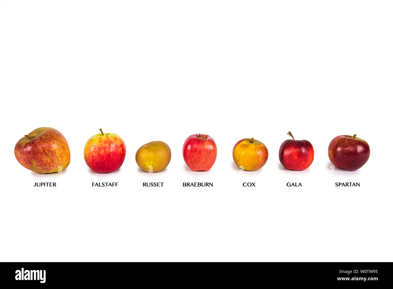 Sept différentes pommes sur un fond blanc avec des étiquettes Banque D'Images