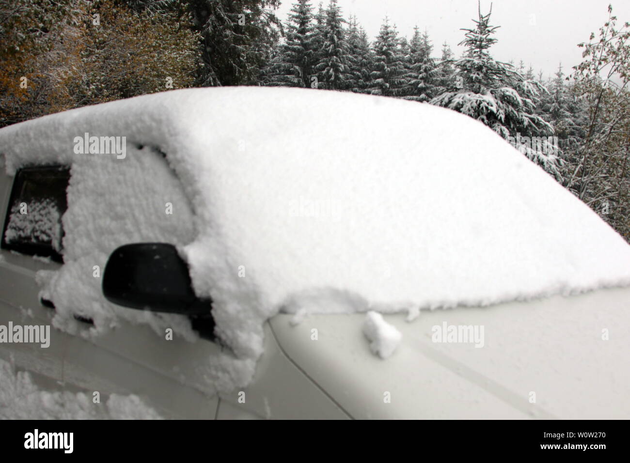 Erste Winterimpressionen aus dem Hochschwarzwald. Dans den Hochlagen des Schwarzwaldes hielt am Wochenende (Sonntag) der Winter Einzug. Während die von der Autofahrer Pracht ueberrascht weißer bär und hatten die Kinder und Wintersportler im ersten Schnee ihren Spass. Fuer eine Schneeballschlacht reichte der Neuschnee allemal. Banque D'Images