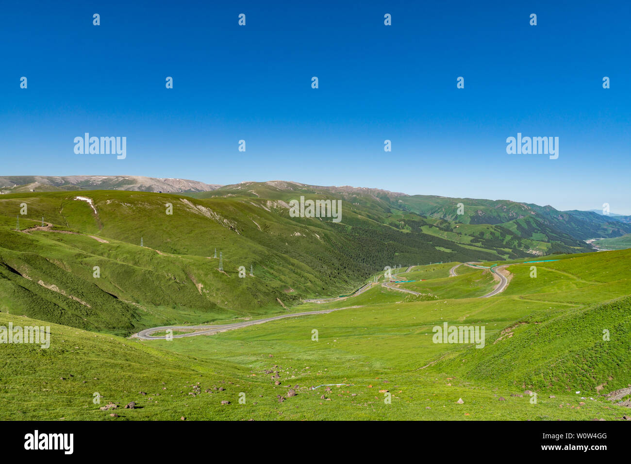 Les prairies alpines le long de la G217 Duku sous l'autoroute l'été, ciel bleu et nuages blancs dans le Xinjiang, Chine Banque D'Images