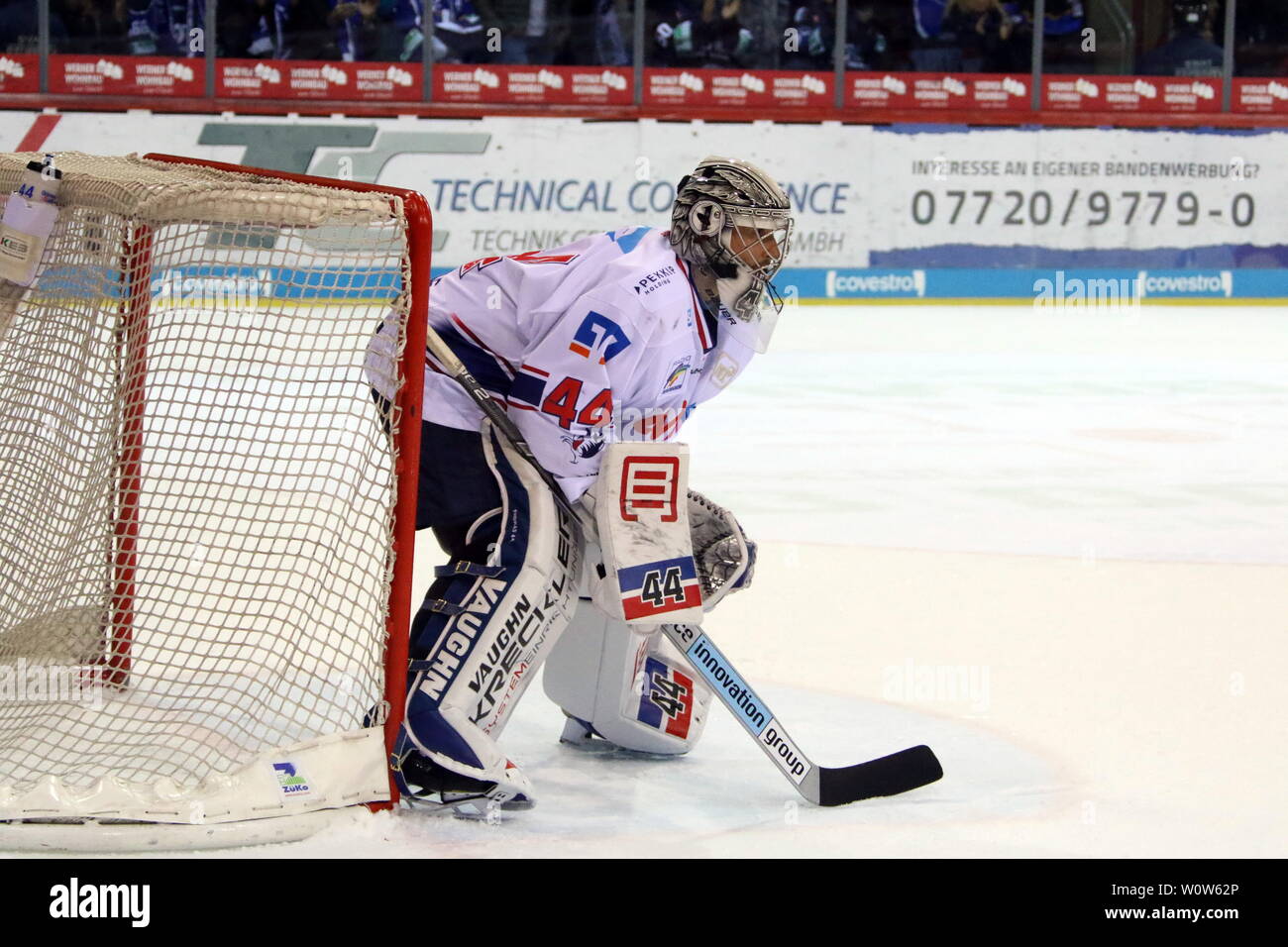 Dennis Endras (Adler Mannheim), 22. Sptg. DEL 18-19 : SERC Wildwings vs. Adler Mannheim Banque D'Images