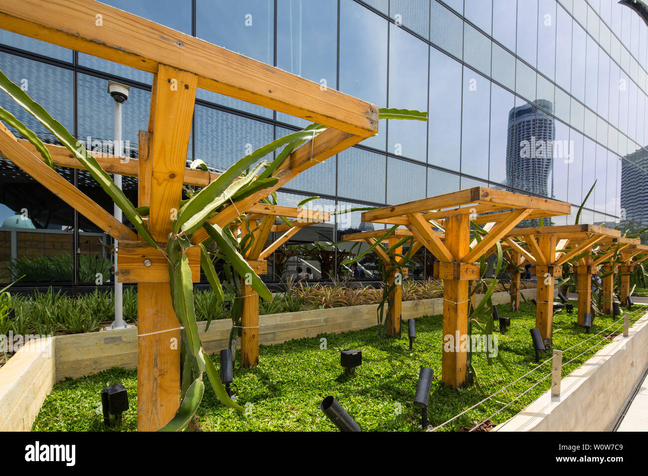 L'agriculture urbaine sur le toit de Funan Mall, Singapour Banque D'Images