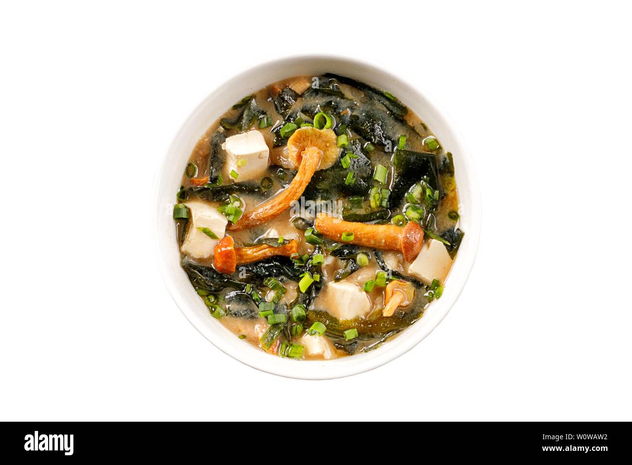 La nourriture japonaise. La soupe miso avec des algues, les champignons et le tofu. Isolées. Sur un fond blanc. Banque D'Images