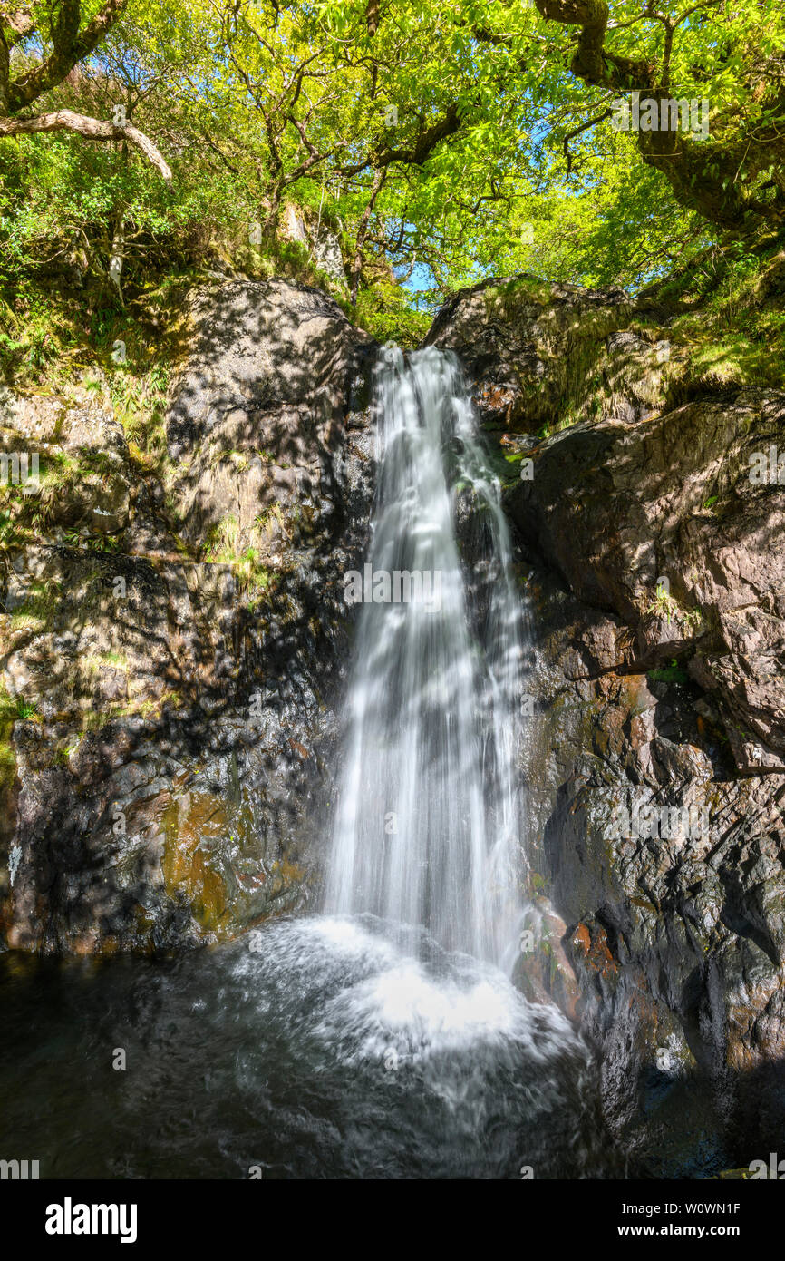 Cascades de Buchan brûler, Glen Trool, Galloway Hills, Dumfries et Galloway, Écosse Banque D'Images