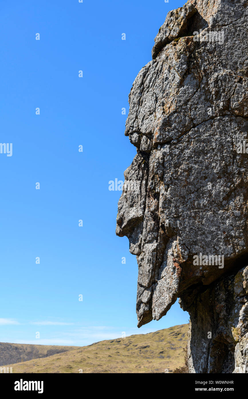 L'Homme gris de Merrick, rock formation sur le Merrick, Galloway Hills, Dumfries et Galloway, Écosse Banque D'Images