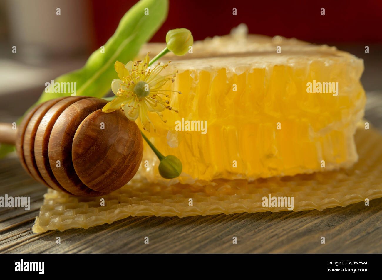 Bloc de miel en rayon avec fleur et ustensile en bois pour distribuer le miel dans un angle faible vue en gros dans l'ombre Banque D'Images
