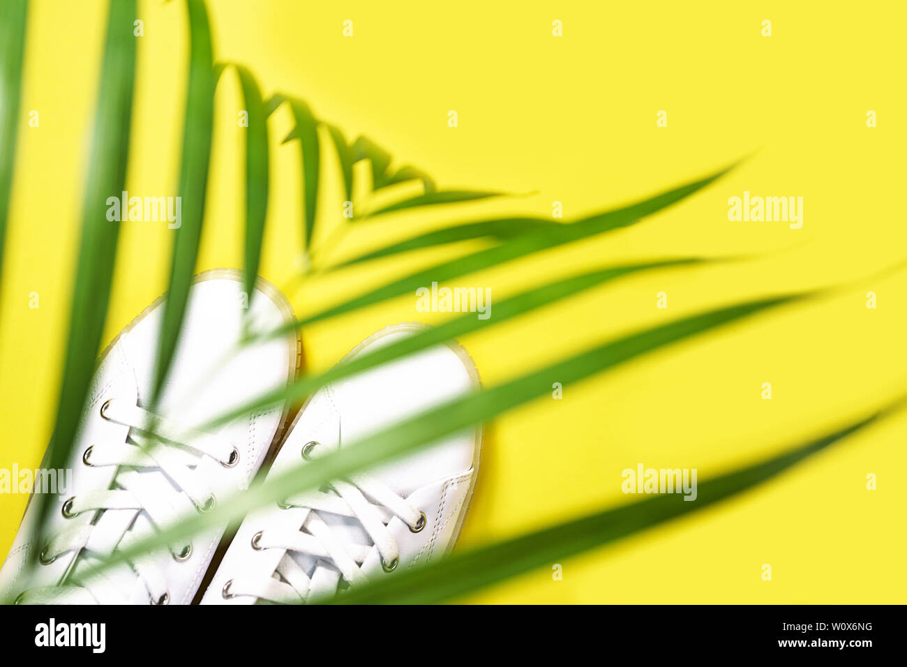 White sneakers sont couchés sous l'ombre de palmier sur fond jaune. Banque D'Images