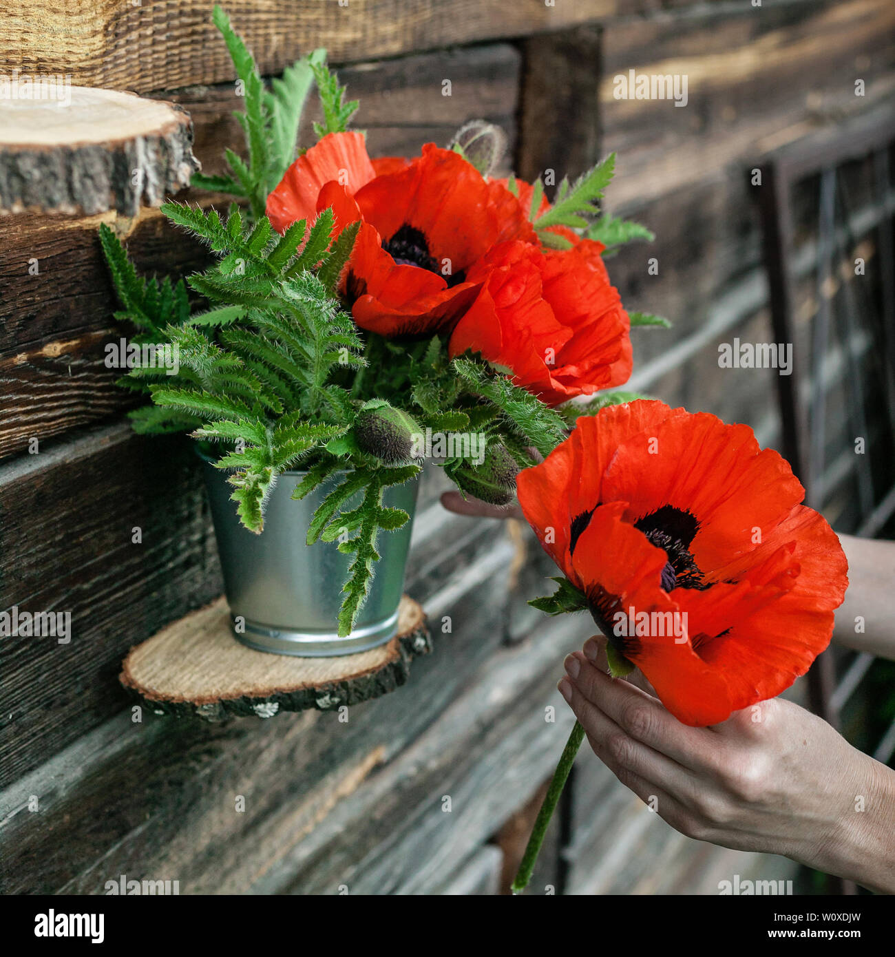 Poppy Bouquet Banque D Image Et Photos Alamy