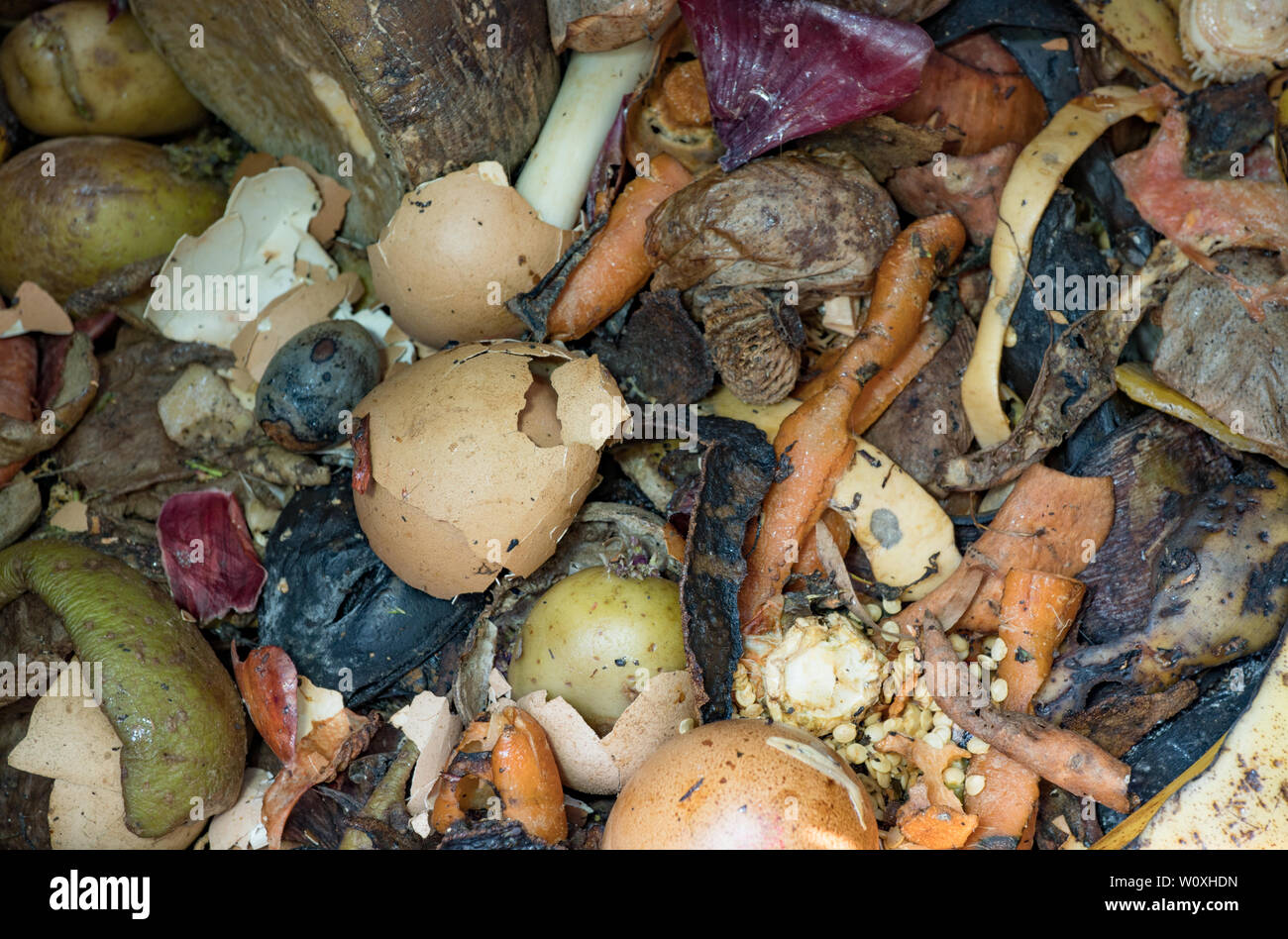 Gaspillage alimentaire dans les bac à compost de jardin. UK Banque D'Images