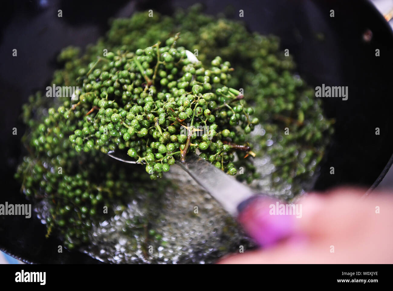 (190628) -- CHONGQING, 28 juin 2019 (Xinhua) -- Liu Yi fait poivre huile dans Nanchuan District, Chongqing, du sud-ouest de la Chine, 27 juin 2019. Malgré la perte de son bras droit dans un accident à l'âge de neuf ans, 44 ans, Liu Yi n'a jamais baissé la tête vers le destin. Après l'obtention du diplôme d'une école de formation professionnelle en 1994, il a essayé de nombreux emplois comme lave-vaisselle, fruits concessionnaire et mineur de charbon. Depuis 2010, il a décidé de démarrer sa propre entreprise à sa ville natale en organisant les villageois à planter des racines de bambou et d'élever des poulets. Ses efforts ont porté fruit. En 2016, toutefois, Liu Yi s'est intéressé à planti Banque D'Images