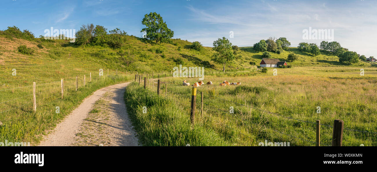 Petite route de campagne et maison au toit de chaume dans la campagne pastorale paysage dans le sud de la Suède. Skane, Scandinavie. Banque D'Images