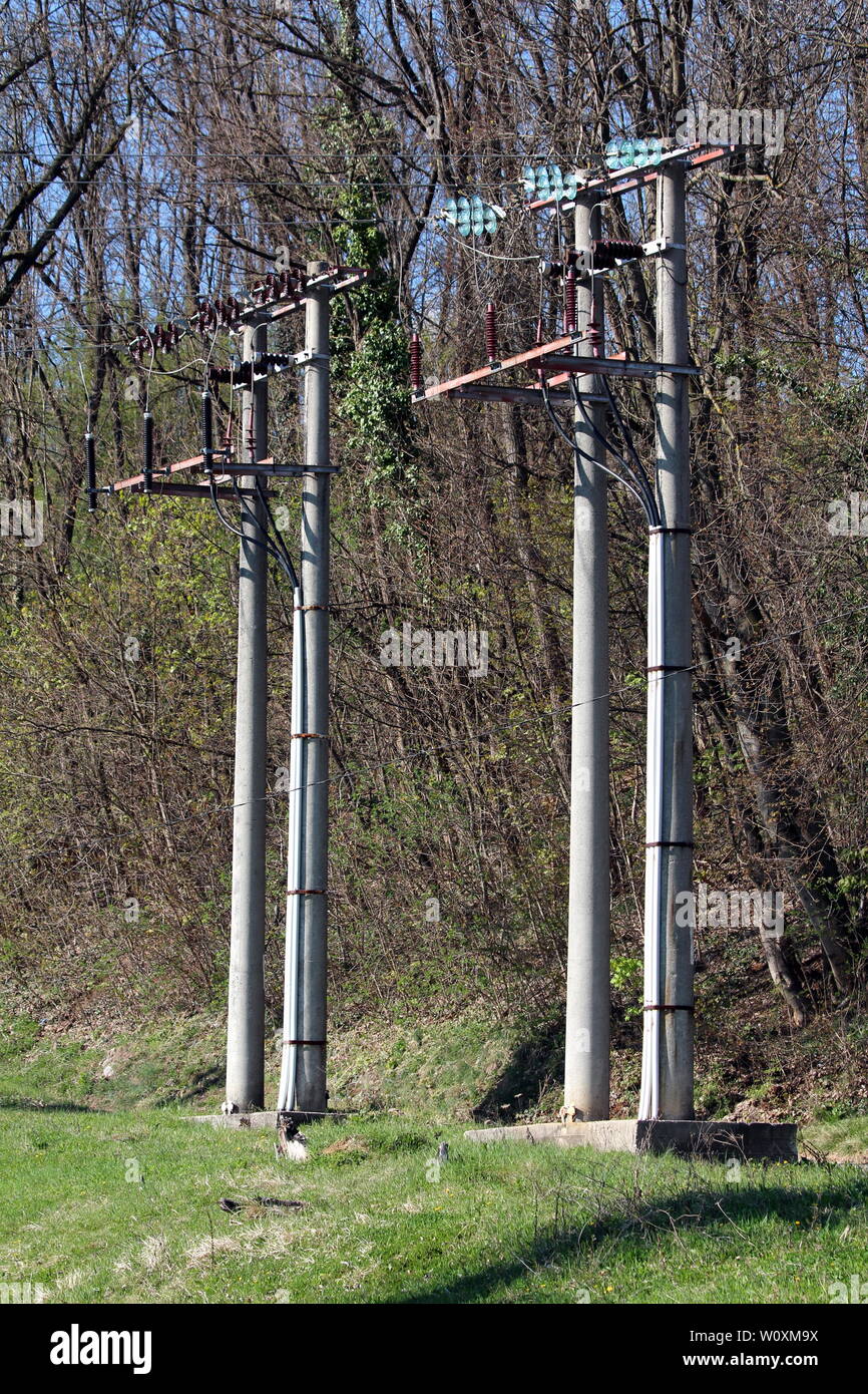 Deux lignes électriques en béton des poteaux électriques avec isolateurs en céramique et en verre entouré d'herbe non coupée et denses arbres sans feuilles Banque D'Images
