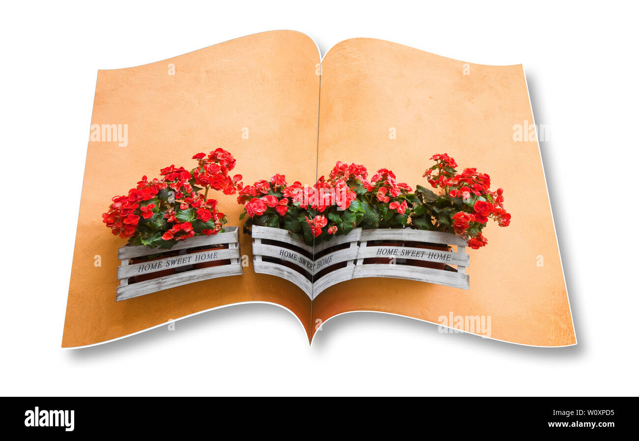 Boîte en bois de fleurs contre un mur de plâtre - le rendu 3D photo album concept image - je suis le propriétaire de copyright des images utilisées dans ce 3D render Banque D'Images Boîte en bois de fleurs contre un mur de plâtre - le rendu 3D photo album concept image - je suis le propriétaire de copyright des images utilisées dans ce 3D render Banque D'Images