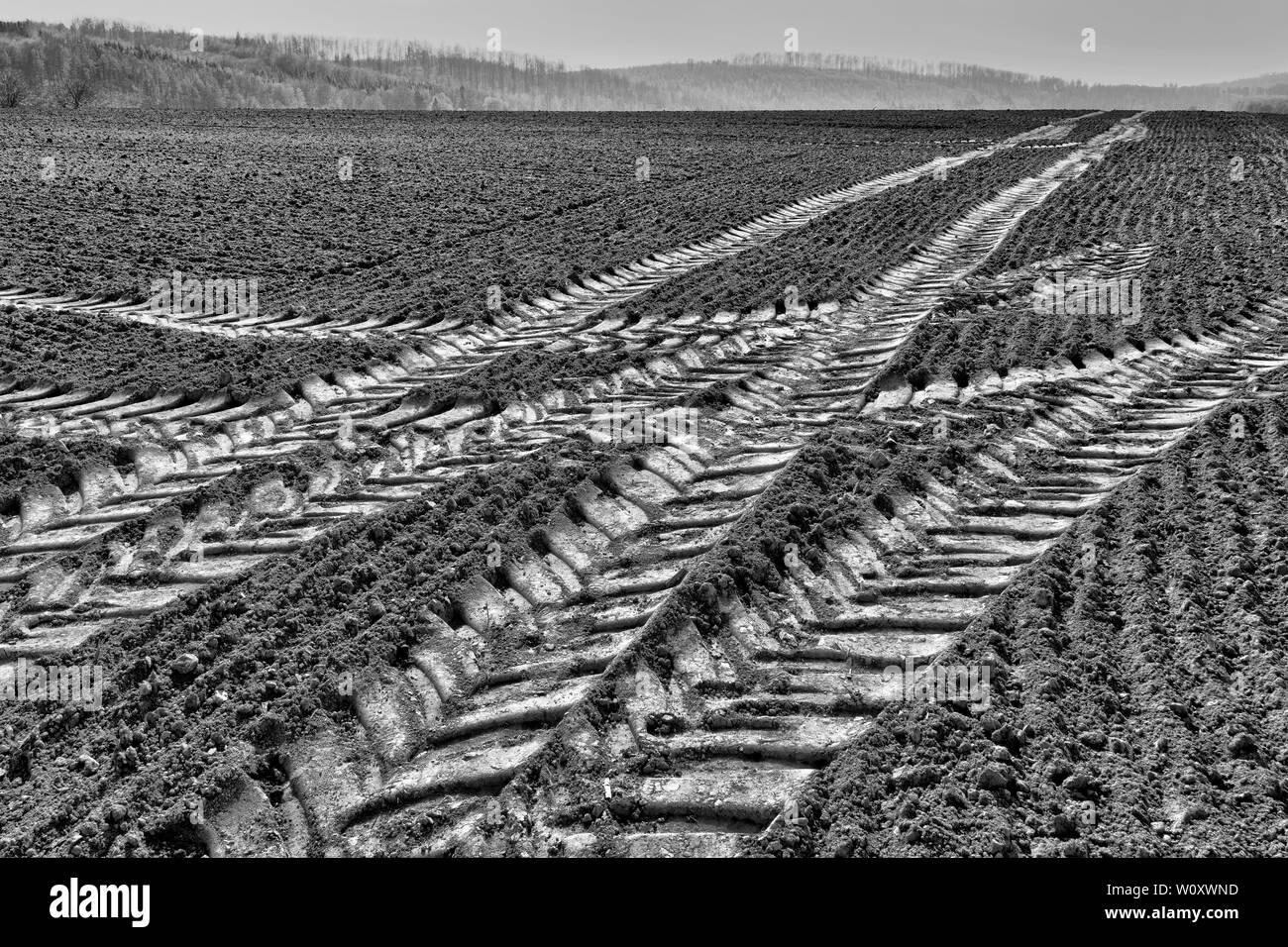 Les chenilles du tracteur, un champ près de Oberweser, Weser Uplands, Thuringe, Hesse, Allemagne Banque D'Images