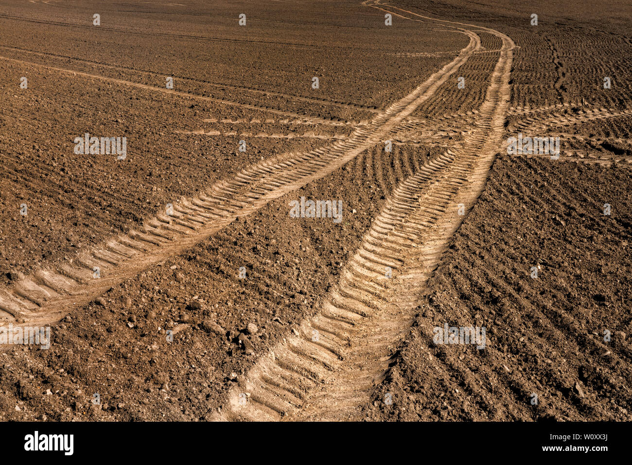 Les chenilles du tracteur, un champ près de Oberweser, Weser Uplands, Thuringe, Hesse, Allemagne Banque D'Images