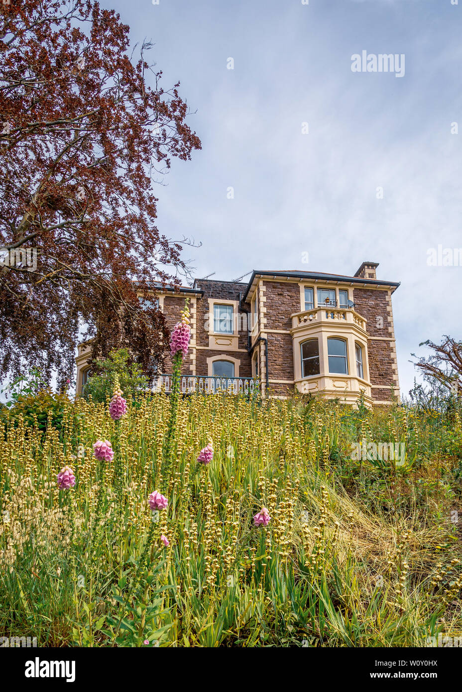 Belle Linda Vista Gardens en fleurs à Abergavenny. Banque D'Images