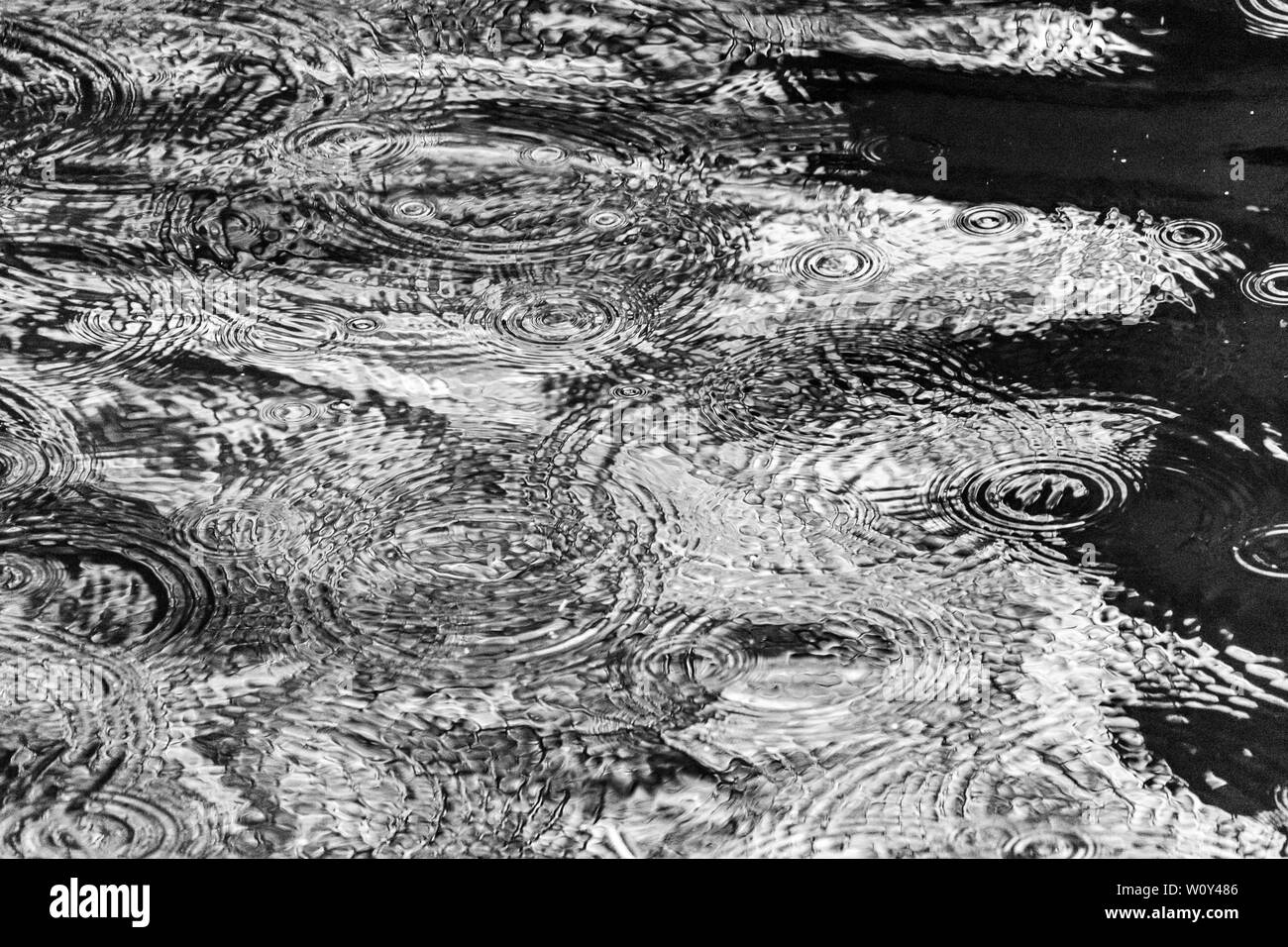 Gouttes de pluie et les petites vagues à la surface d'un lac avec des reflets lumineux et abstrait noir et blanc développé, le motif, la texture, l'arrière-plan Banque D'Images