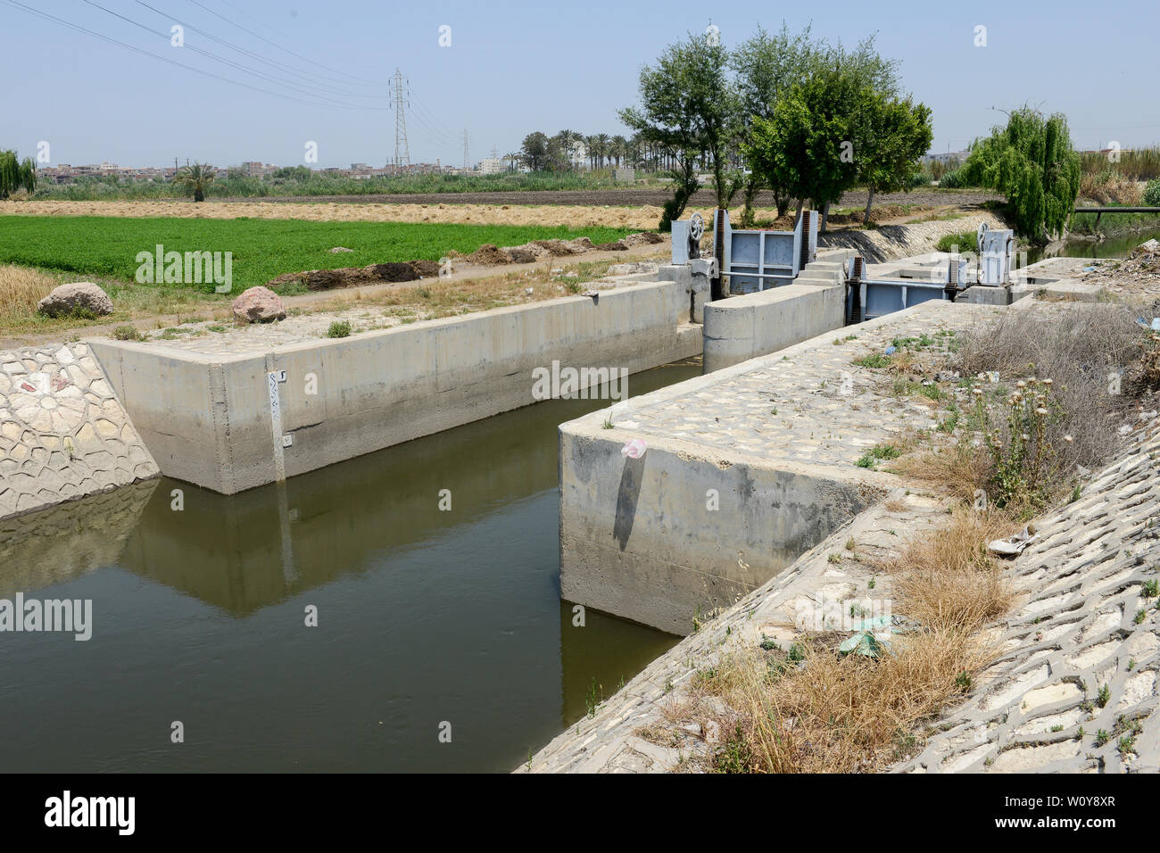 L'Égypte, Beheira gouvernorat, Kafra, Eldawar l'agriculture dans le delta du Nil , canal d'irrigation , l'eau du Nil / AEGYPTEN, Beheira, Landwirtschaft im Nildelta Bewaesserung fuer, Kanal mit Wasser nul Banque D'Images