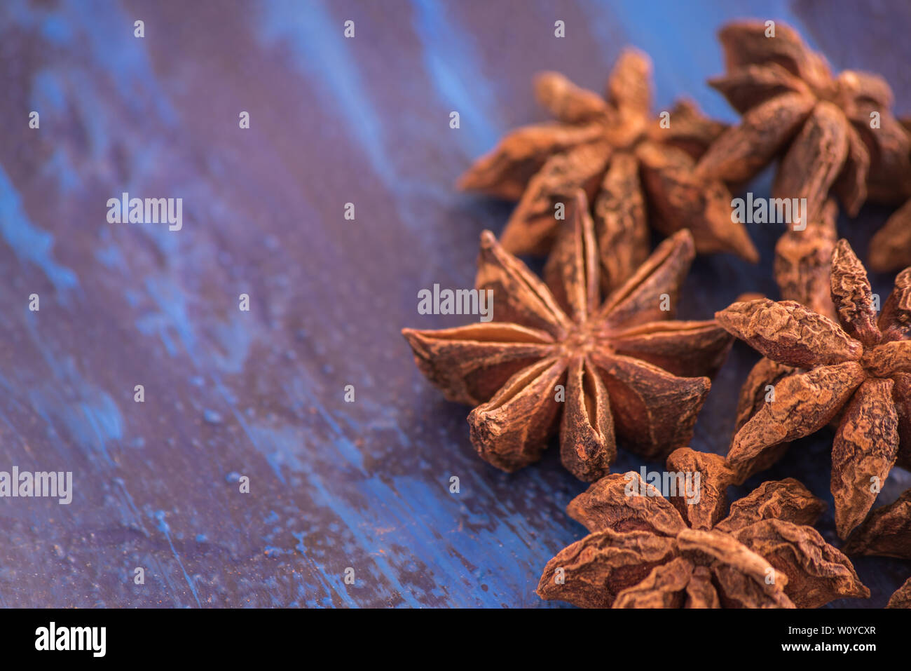 Anis étoile sur un fond dans les tons bleus Banque D'Images