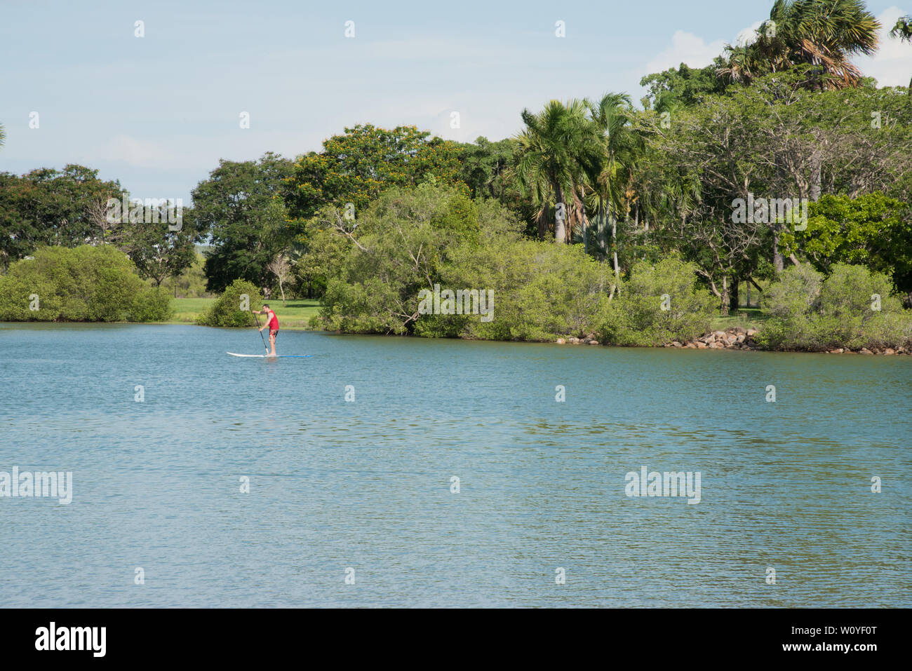 Darwin, Territoire du Nord, Australia-November 26,2017 : Personne stand up paddleboarding à East Point réserver dans le Territoire du Nord de l'Australie Banque D'Images