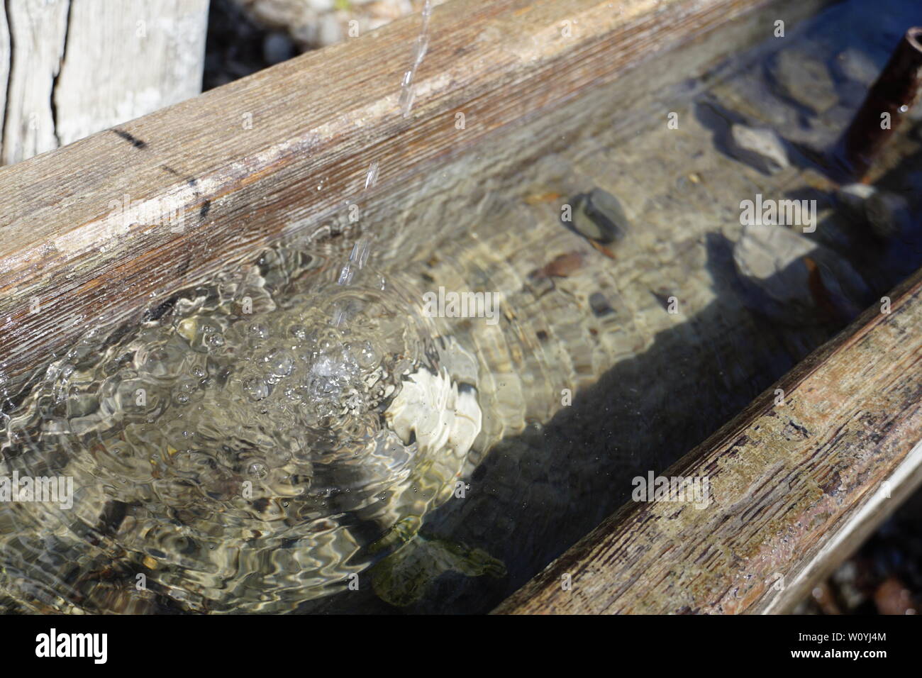 Abreuvoir en bois avec de l'eau douce Banque D'Images