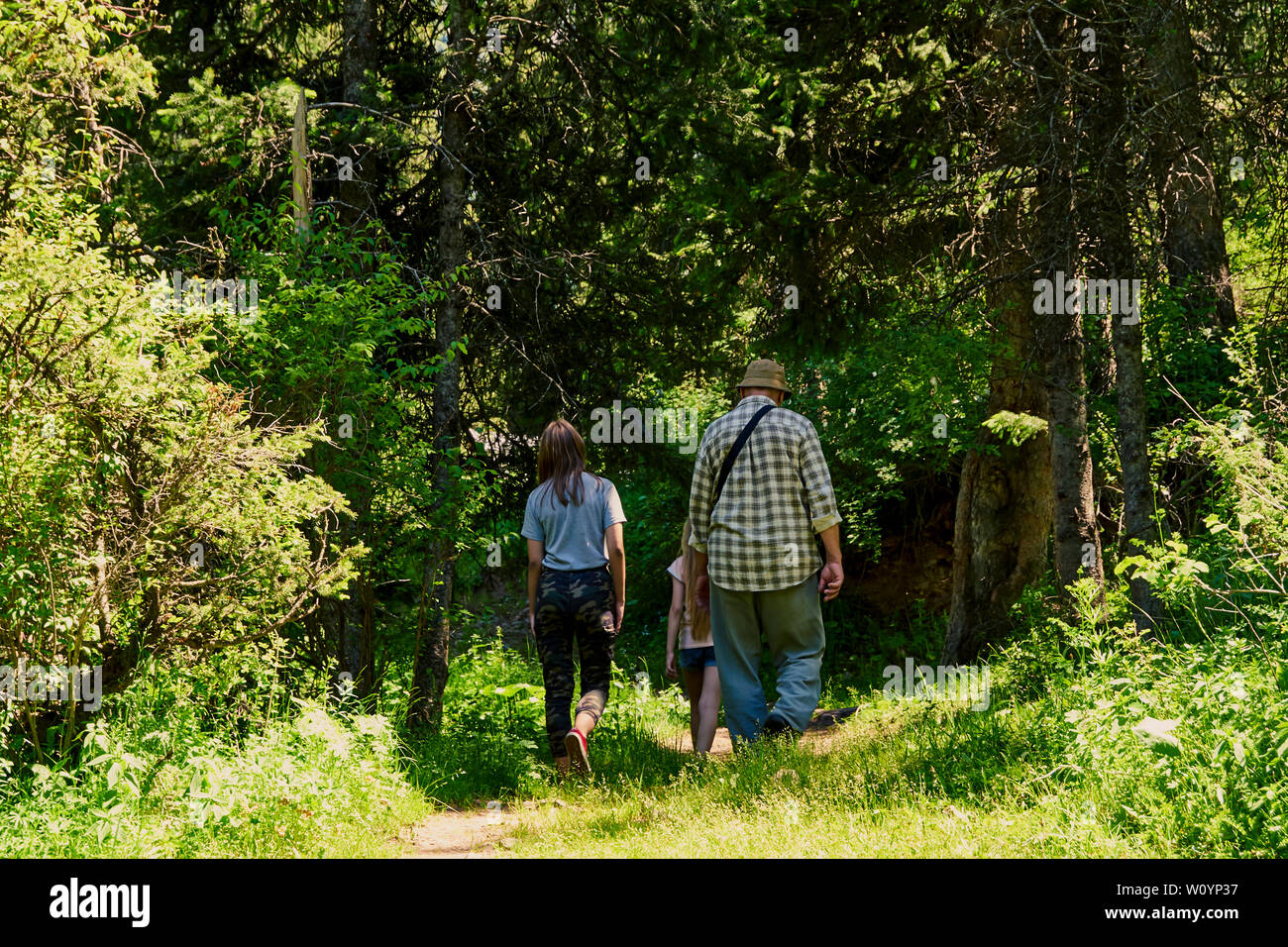 Homme adulte avec deux enfants, grand-père marche dans une forêt de montagne avec des petites-filles, journée ensoleillée d'été, fond vert, reste la randonnée Banque D'Images