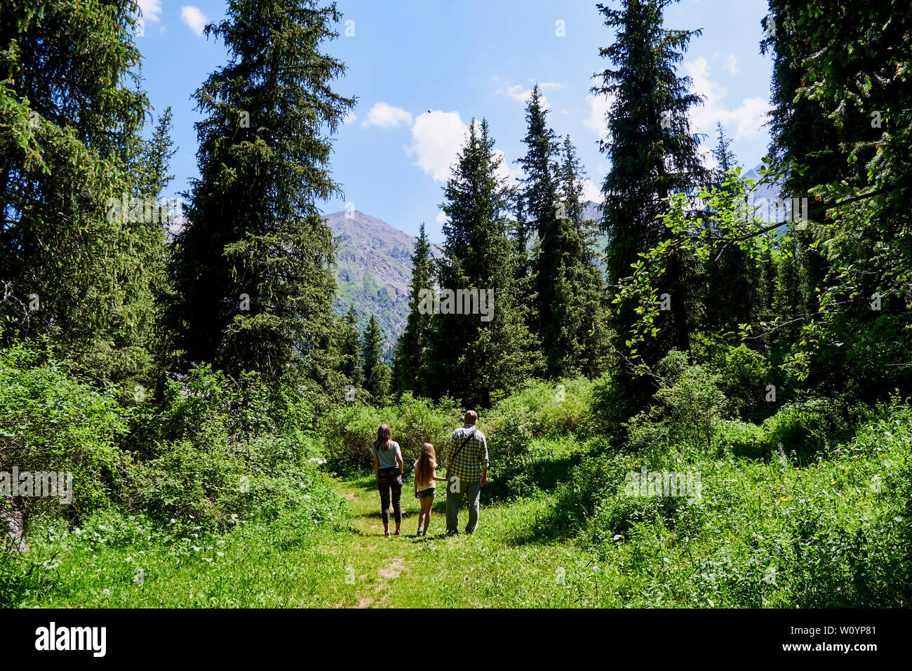Homme adulte avec deux enfants, grand-père marche dans une forêt de montagne avec des petites-filles, journée ensoleillée d'été, fond vert, reste la randonnée Banque D'Images