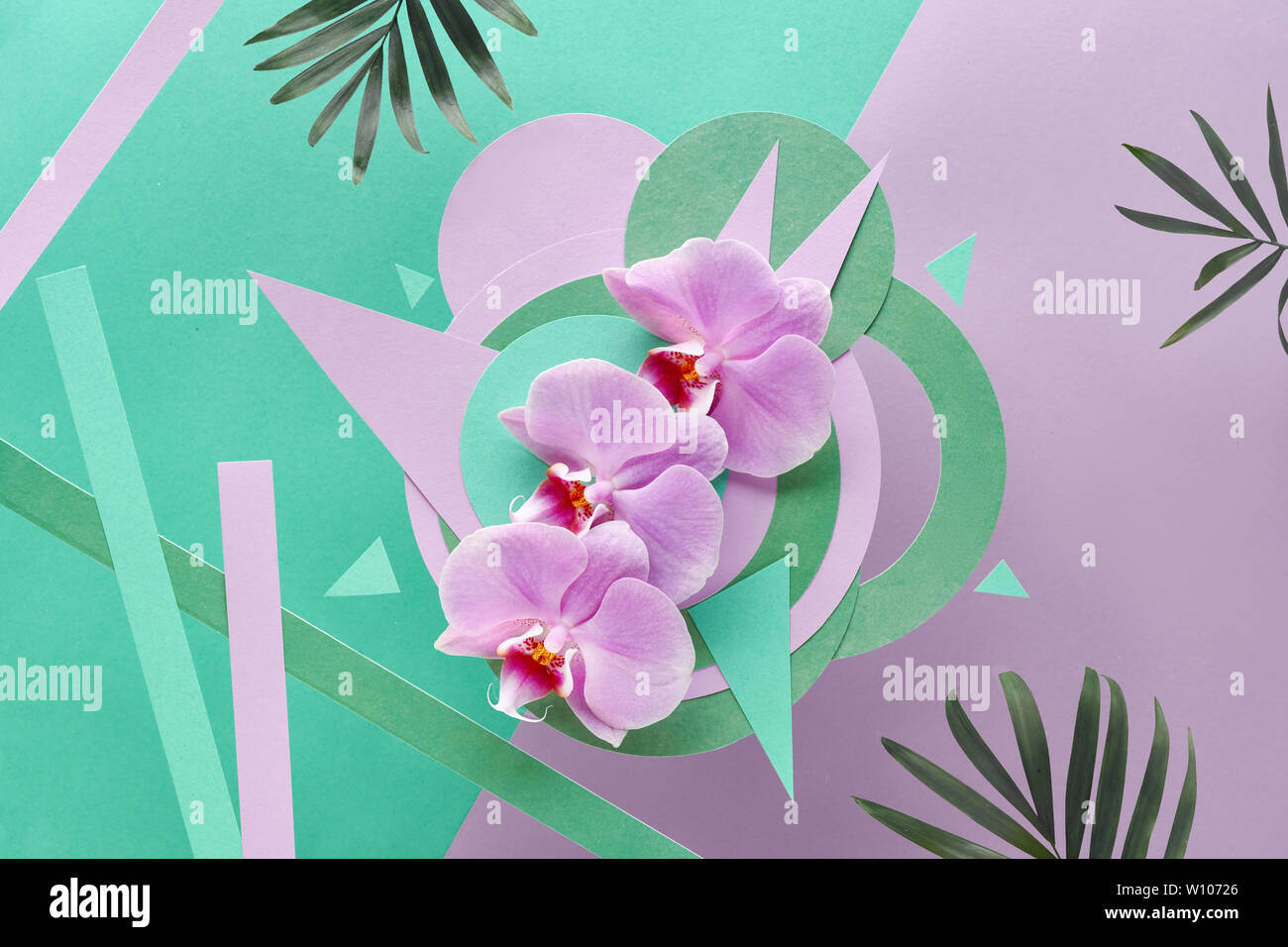 Floral fond de papier monnaie et des couleurs pastel. Fleurs d'orchidée sur fond géométrique Banque D'Images