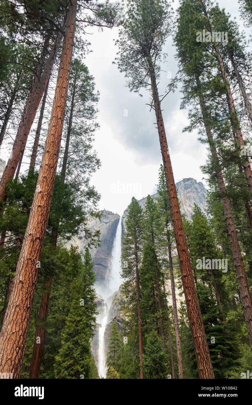 Yosemite Falls dans la région de Yosemite National Park, California, USA Banque D'Images