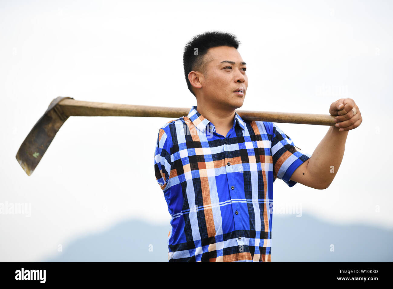 (1906289) -- BEIJING, 29 juin 2019 (Xinhua) -- Liu Yi travaille dans une plantation de poivre à base Village de Yulong Nanping Ville située dans le district Nanchuan, sud-ouest de la Chine, Chongqing, le 27 juin 2019. Malgré la perte de son bras droit dans un accident à l'âge de neuf ans, 44 ans, Liu Yi n'a jamais baissé la tête vers le destin. Après l'obtention du diplôme d'une école de formation professionnelle en 1994, il a essayé de nombreux emplois comme lave-vaisselle, fruits concessionnaire et mineur de charbon. Depuis 2010, il a décidé de démarrer sa propre entreprise à sa ville natale en organisant les villageois à planter des racines de bambou et d'élever des poulets. Les efforts qu'il a payé de Banque D'Images