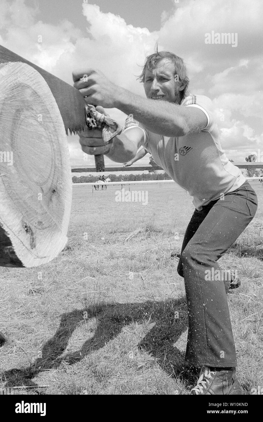 KINGAROY, QUEENSLAND, vers 1984 : Un homme inconnu participe à un cross cut a vu lors d'une course A et P voir dans le Queensland rural, vers 1984. Banque D'Images