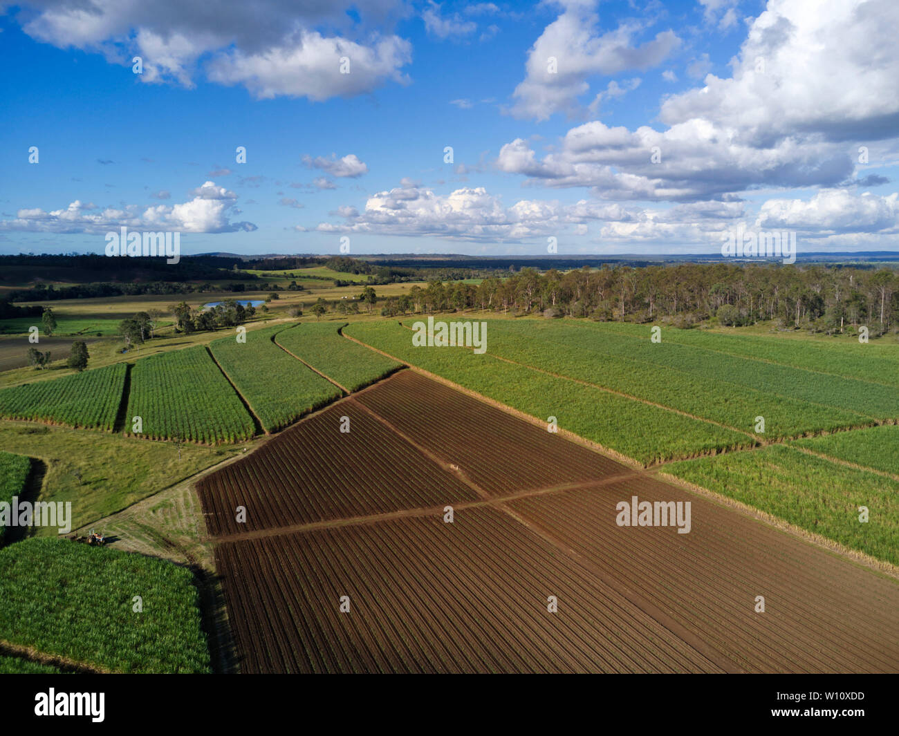 La culture de la canne à sucre près de Gin Gin Queensland Australie Banque D'Images