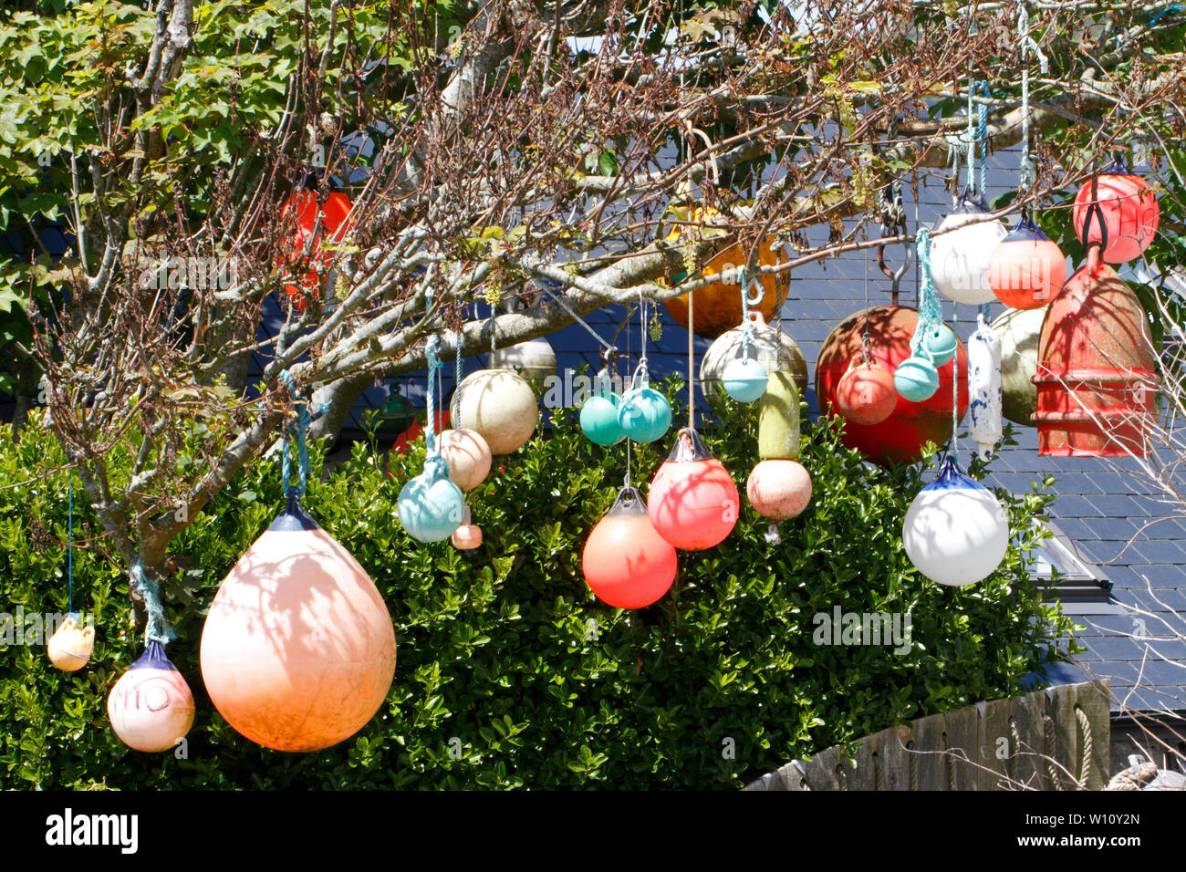 Accroché dans un arbre bouées dans le cadre d'une décoration de jardin. Pembrokeshire Wales, UK Banque D'Images