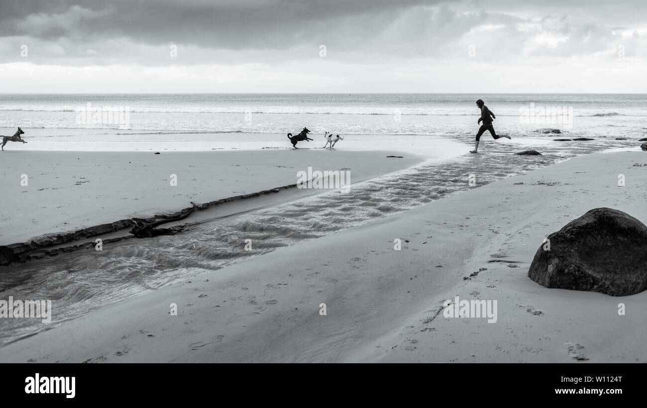 Courir avec les chiens le long de la plage de Glencairn en Afrique du Sud sur la côte de False Bay, près du Cap, pendant le mois d'hiver Banque D'Images