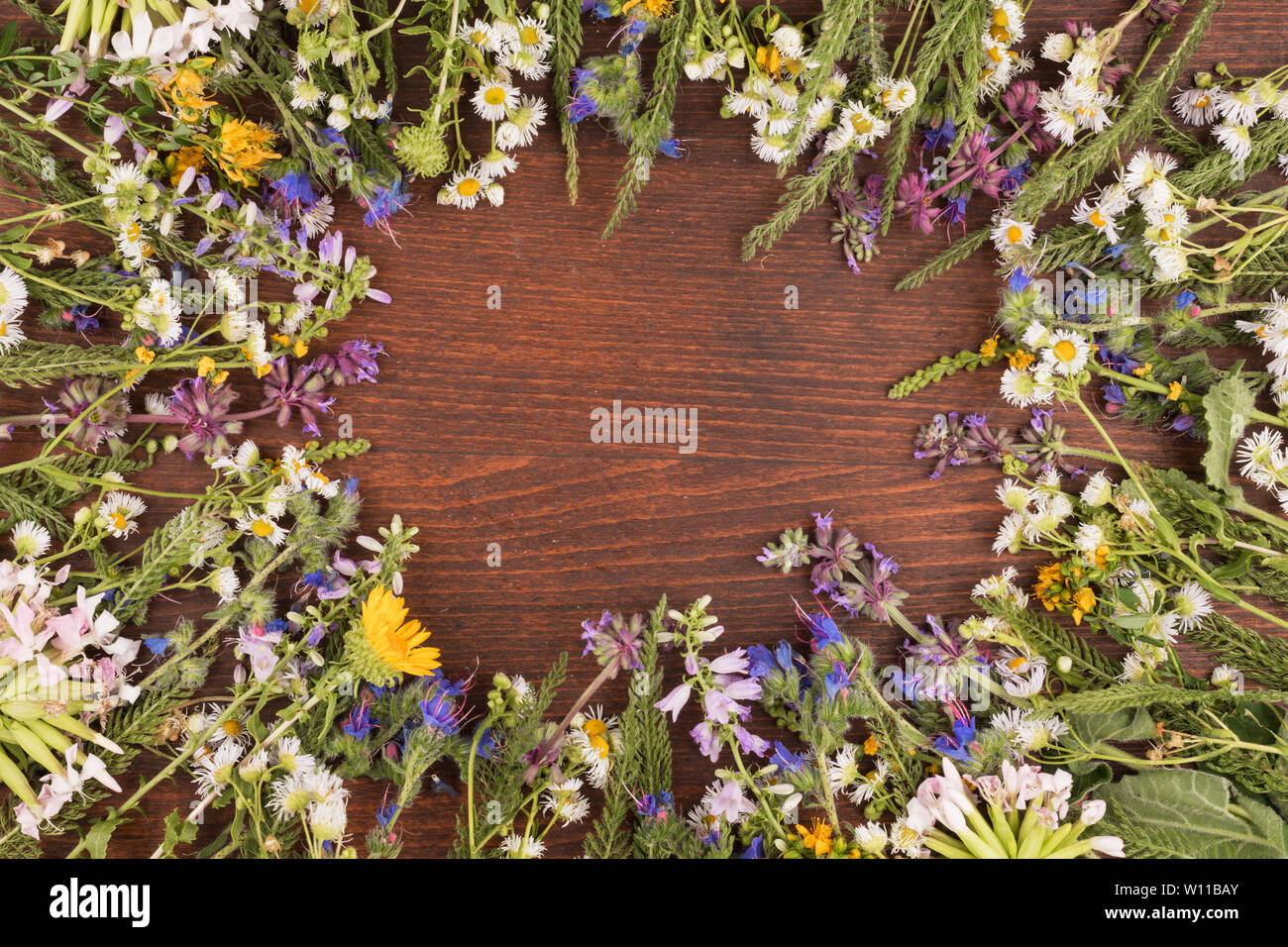 Vue directe, fond de bois au centre, fleurs sauvages sur le contour de la surface du conseil. Copier l'espace. Vue d'en haut Banque D'Images