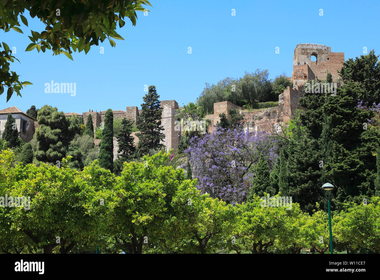 Les murs de la ville historique de Castillo de Gibralfaro, construit pour protéger l'Alcazaba et de la chambre les troupes, dans la ville de Malaga, sur la Costa del Sol, Espagne, Europe Banque D'Images