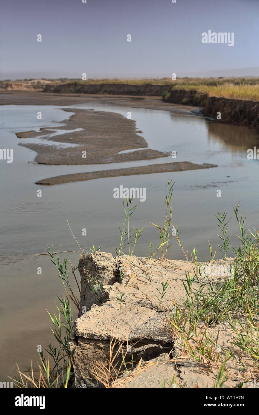 La rive droite de la rivière Keriya qui coule vers le nord dans le désert de Taklamakan. Xinjiang-Chine-0217 Banque D'Images