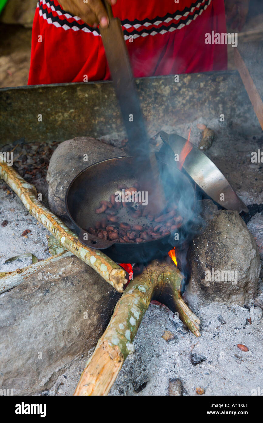 Griller les fèves de cacao, cacao, bio Oreba Oeste Arriba Rivière, Groupe ethnique Ngabe, province de Bocas del Toro, PANAMA, Amérique Centrale, Amérique Latine Banque D'Images