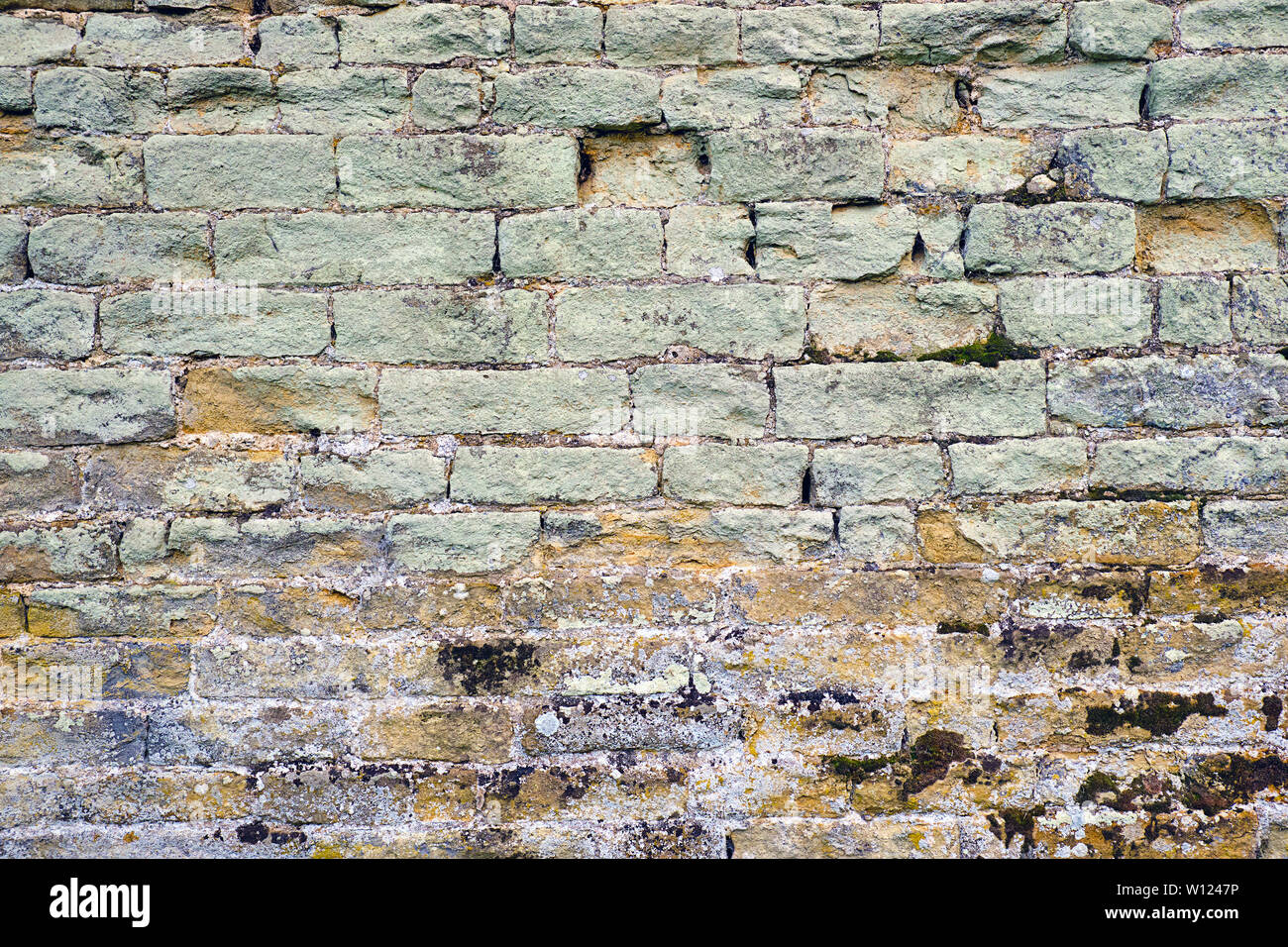 Contexte à partir d'un vieux mur de brique verte avec un peu de moule Banque D'Images Contexte à partir d'un vieux mur de brique verte avec un peu de moule Banque D'Images