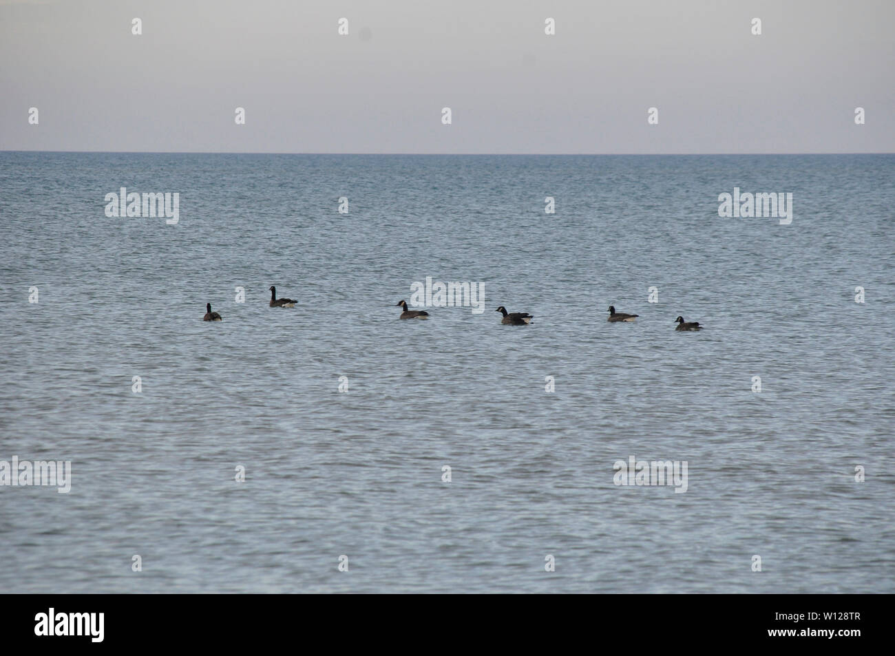 Neiges assis sur l'eau du lac Michigan Banque D'Images