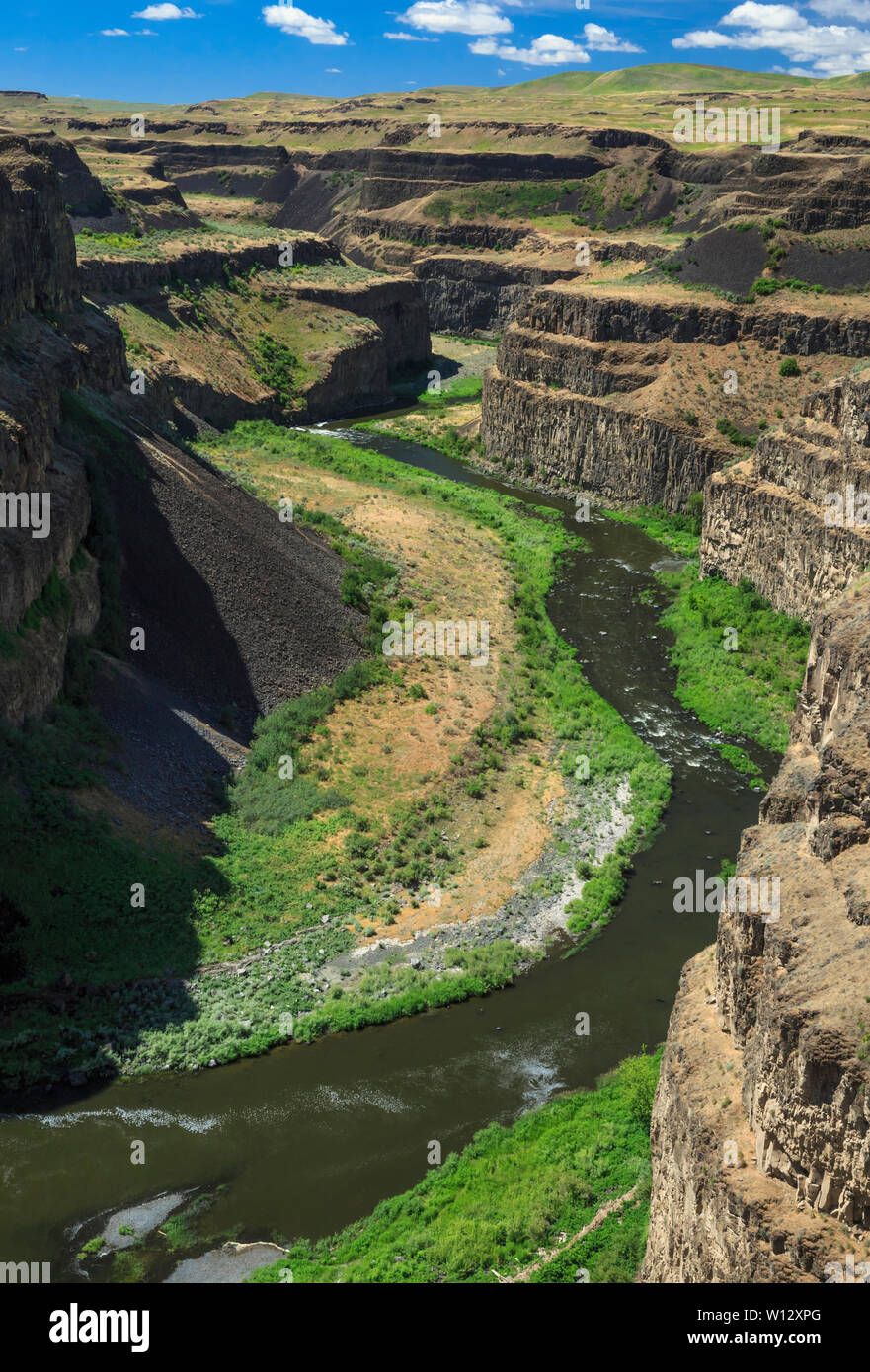 La rivière palouse dans un canyon des chutes palouse ci-dessous près de washtucna, Washington Banque D'Images