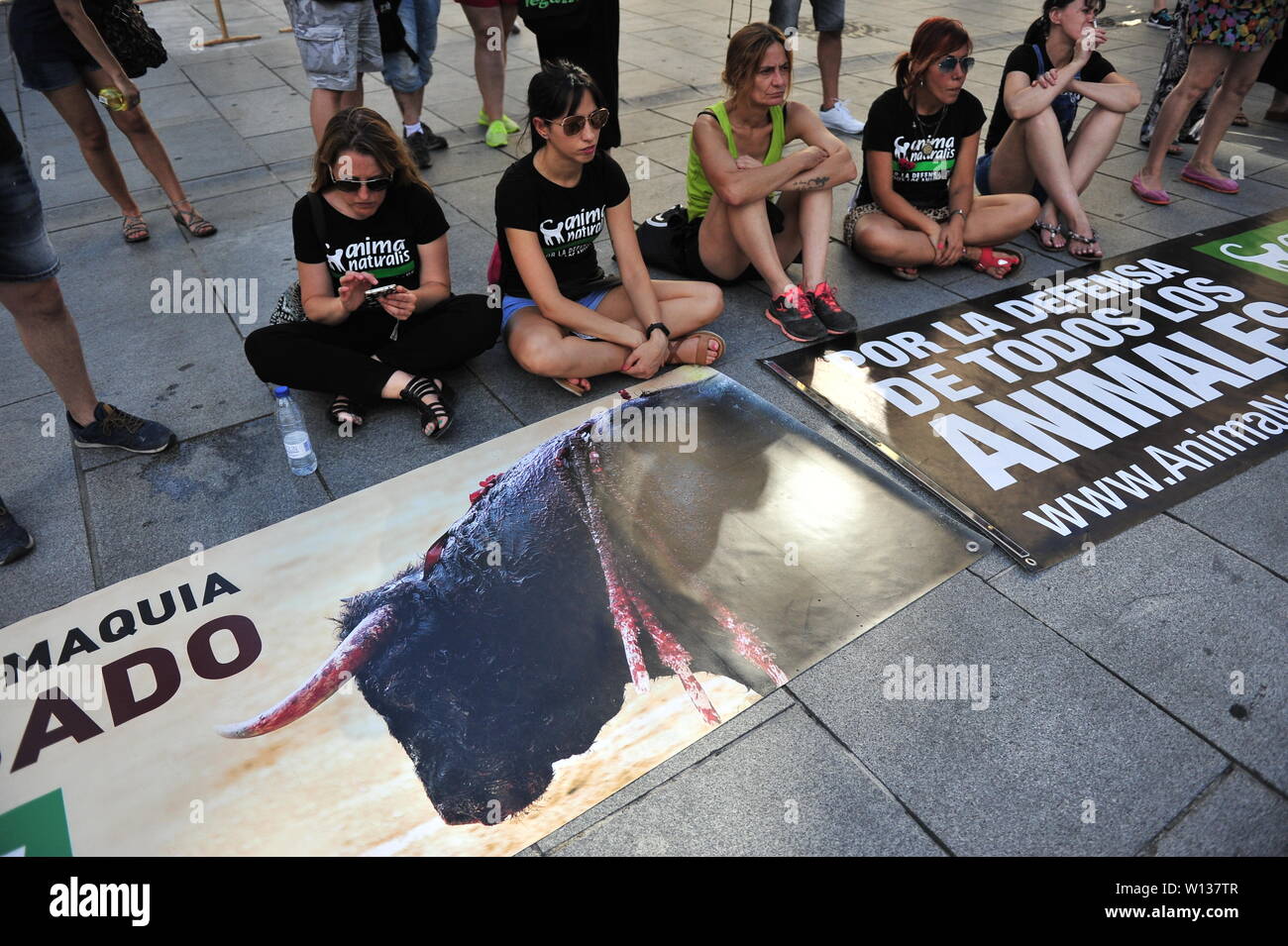 Pamplona, Espagne. 29 Juin, 2019. Les manifestants posent avec leurs  pancartes, lors d'une manifestation tenue à Pampelune pour exiger  l'abolition de la corrida.Sous une température de plus de 40 degrés  Celsius, une