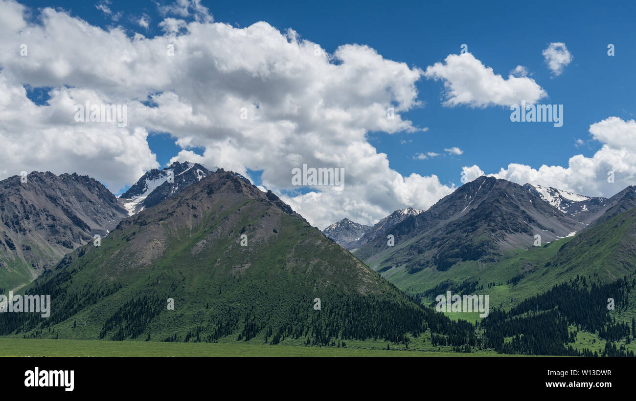 Les prairies alpines le long de la G217 Duku sous l'autoroute l'été, ciel bleu et nuages blancs dans le Xinjiang, Chine Banque D'Images