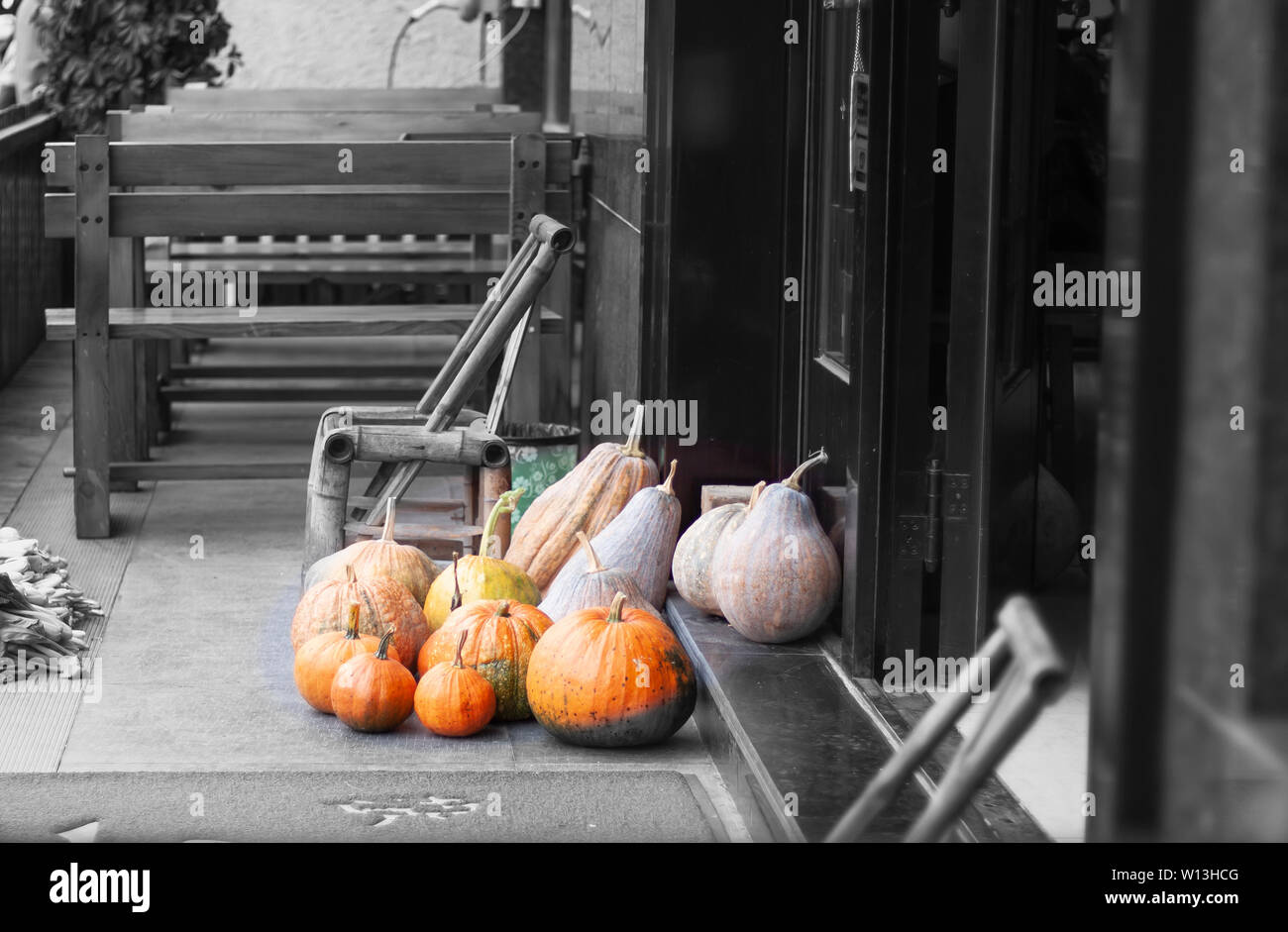 automne Banque D'Images