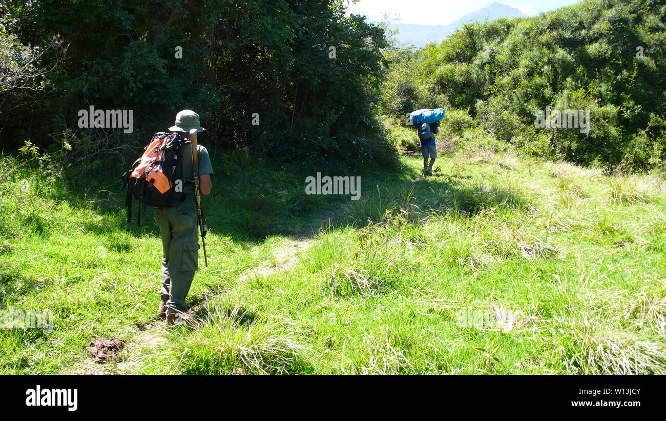 Parc National d'Arusha, Tanzanie - Kilimanjaro Province / 30. Décembre 2015 : national park ranger armé et des porteurs de la randonnée vers le sommet de M Banque D'Images