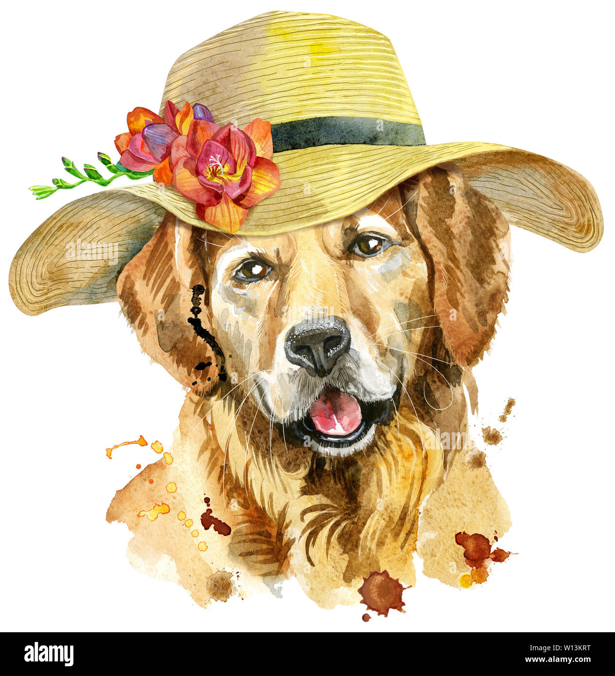 Joli Chien. T-shirt chien graphiques. aquarelle golden retriever avec un chapeau à larges bords de l'été illustration Banque D'Images
